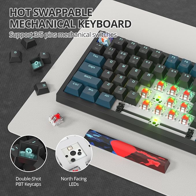 82 Black Blue/Red Switch