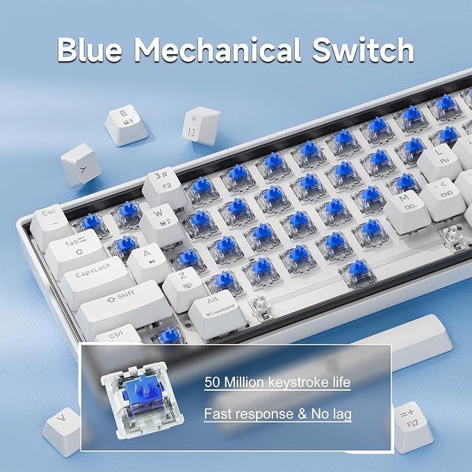 White-RGB