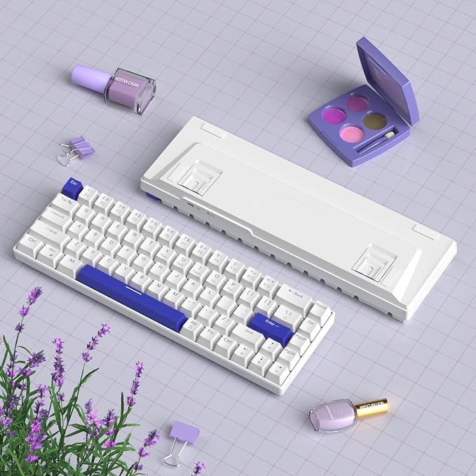 Klein Blue/Blue Whale Switch