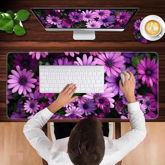 African Daisy