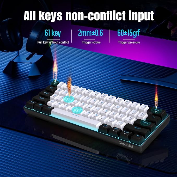Black White(Ice Blue Light)/Blue Switch