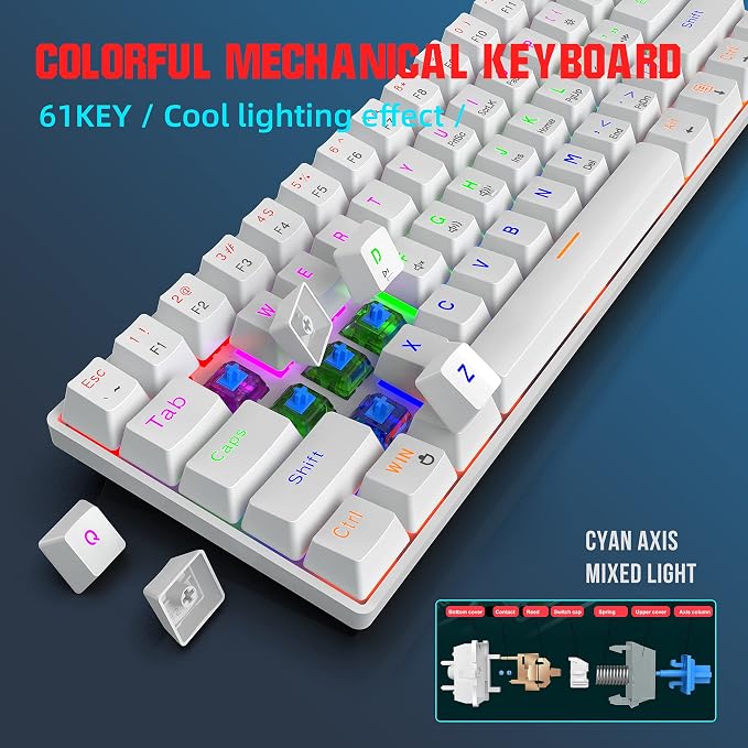 White/Blue Switch