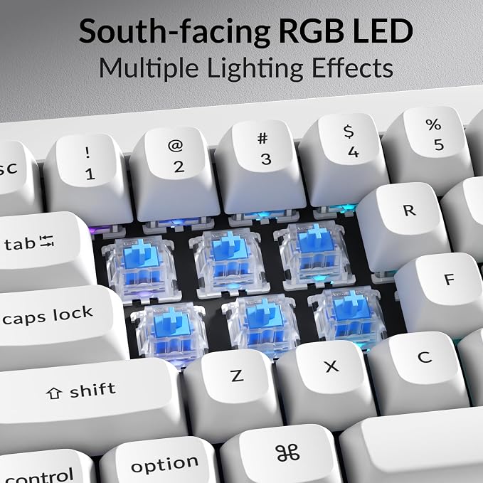 White (Gateron G Pro Blue Switch)