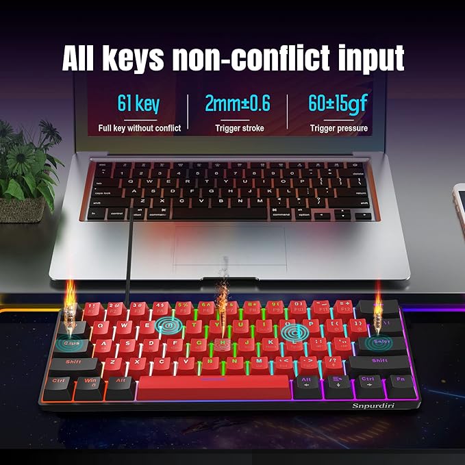 Black Red/Blue Switch
