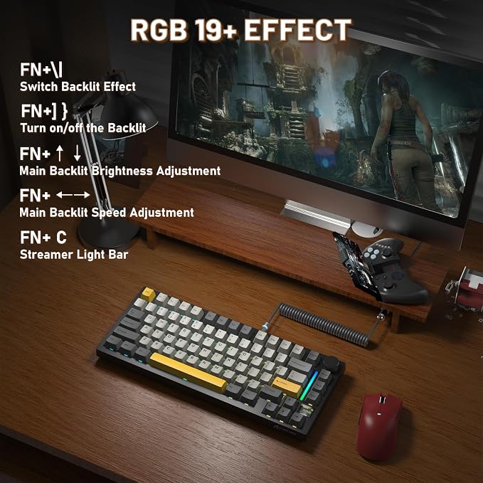 starblack/shark switches