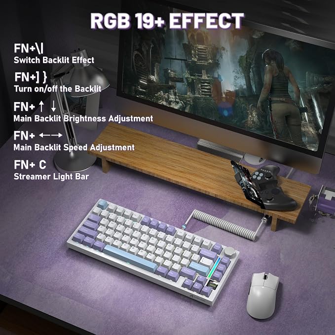 starwhite/shark switches