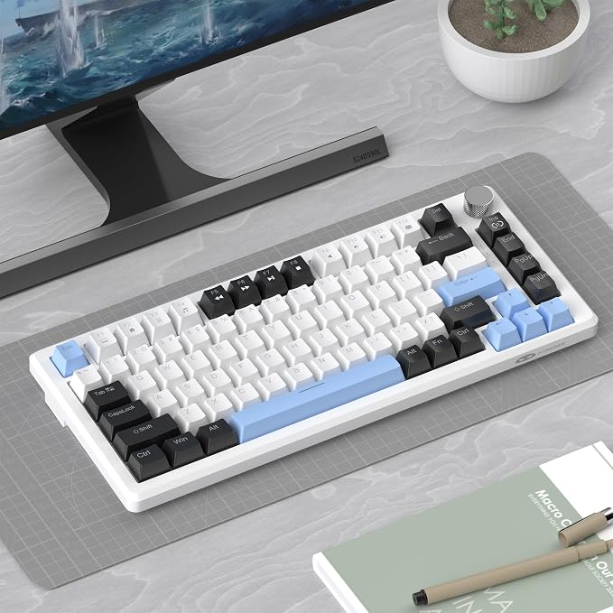 White & Blue - Brown Switch