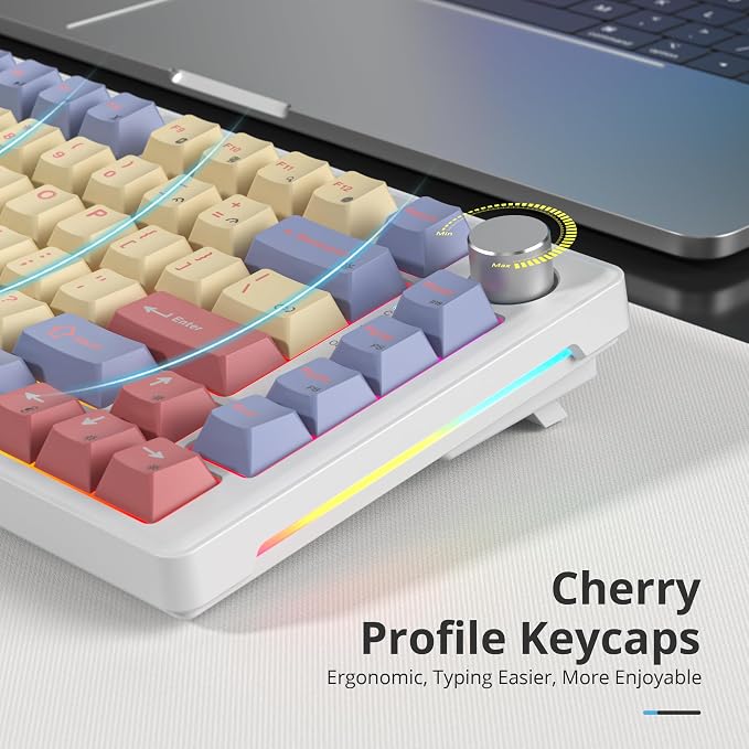 Cotton Candy/White Switch