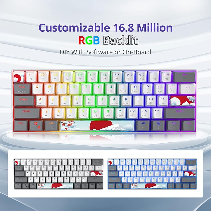 61 White/Red Switch