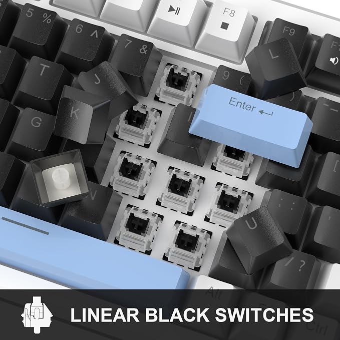 Black & Blue - Black Switch