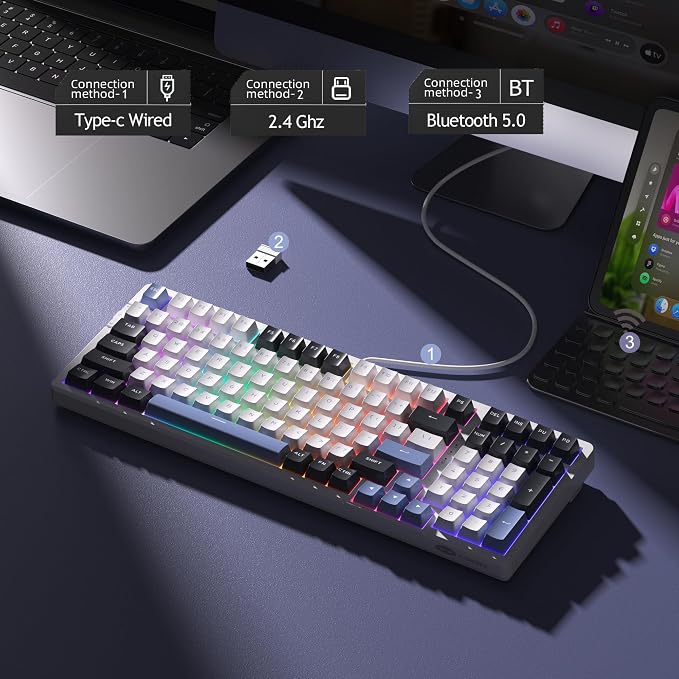 Black Blue/Ivory White Switch