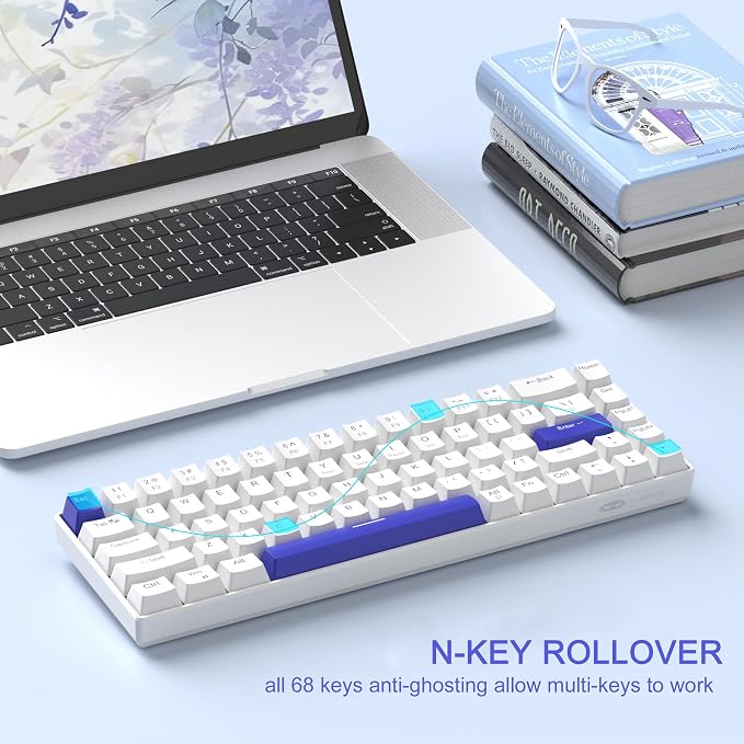 Klein Blue/Blue Whale Switch