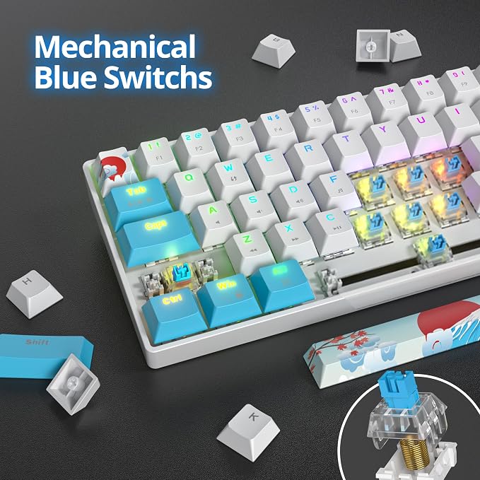 68 Sea/Blue Switch