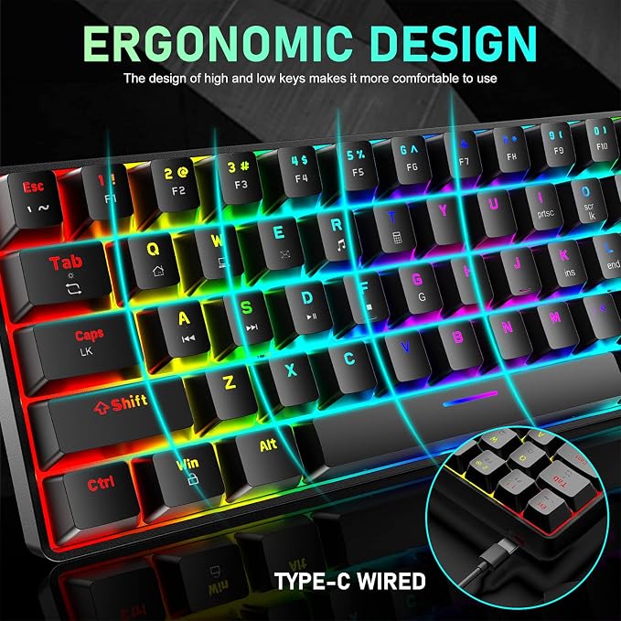 black/blue switch
