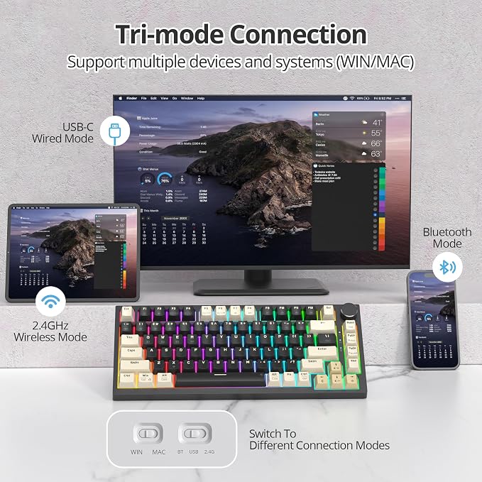Black/GrayCreamSwitch