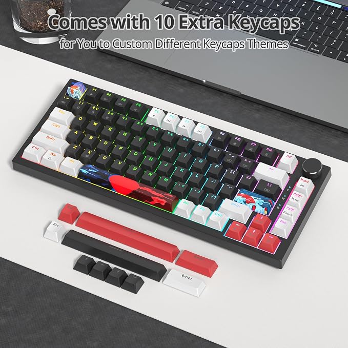 Black /Red Switch
