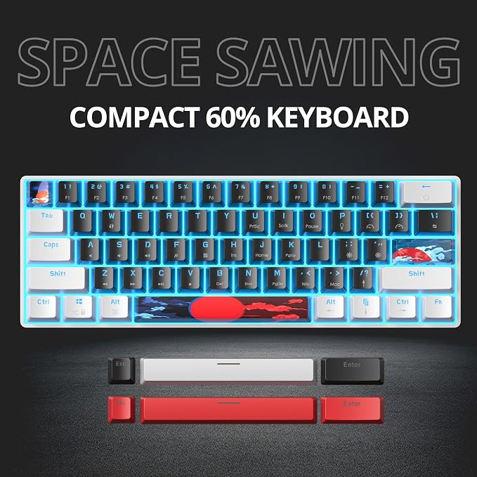 61 White & Black/Red Switch