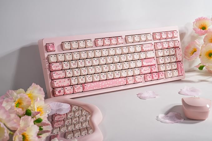 Sakura Paws