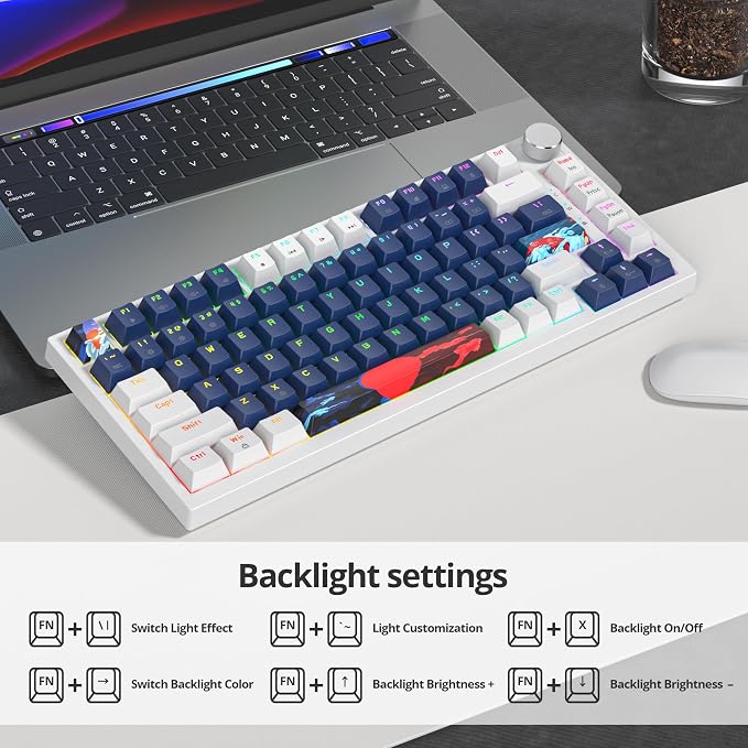 Blue Earth /Red Switch
