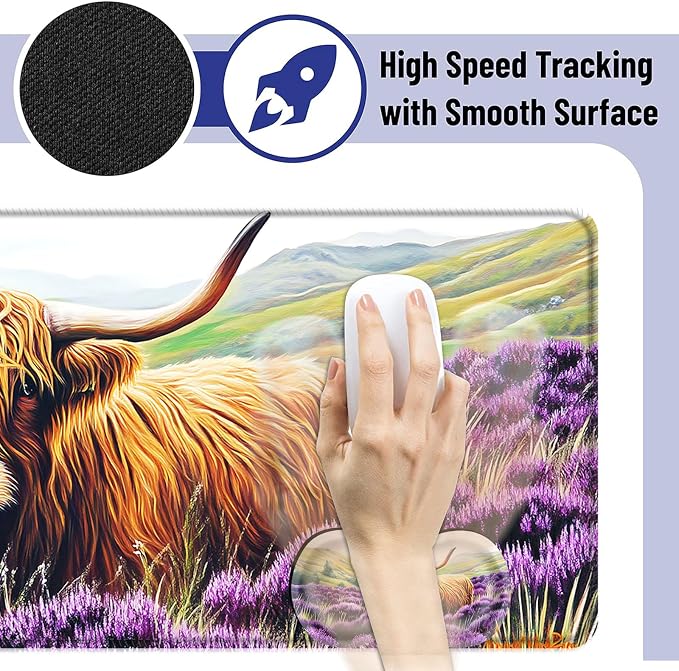 Cute Highland Cow