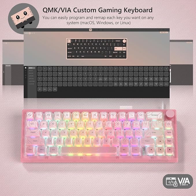 V-Pink1