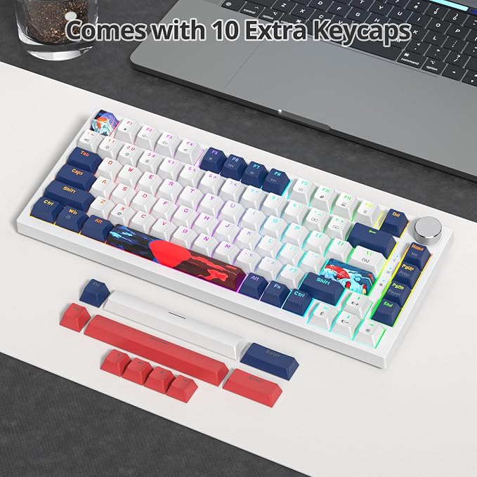 82 Blue White/Red Switch