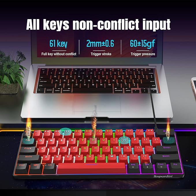 Black Red/Red Switch