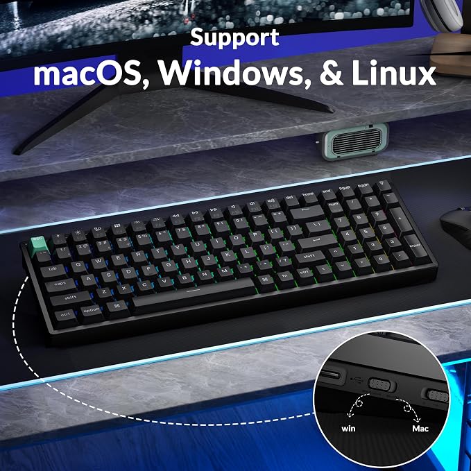 Standard Version Black