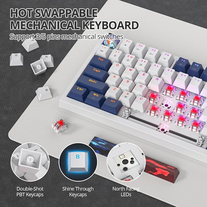 82 Blue White/Red Switch