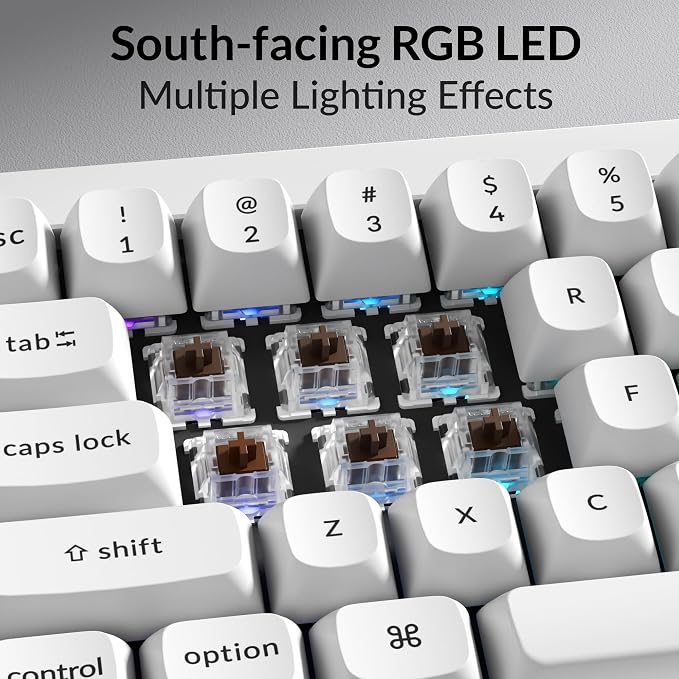 White (Gateron G Pro Brown Switch)