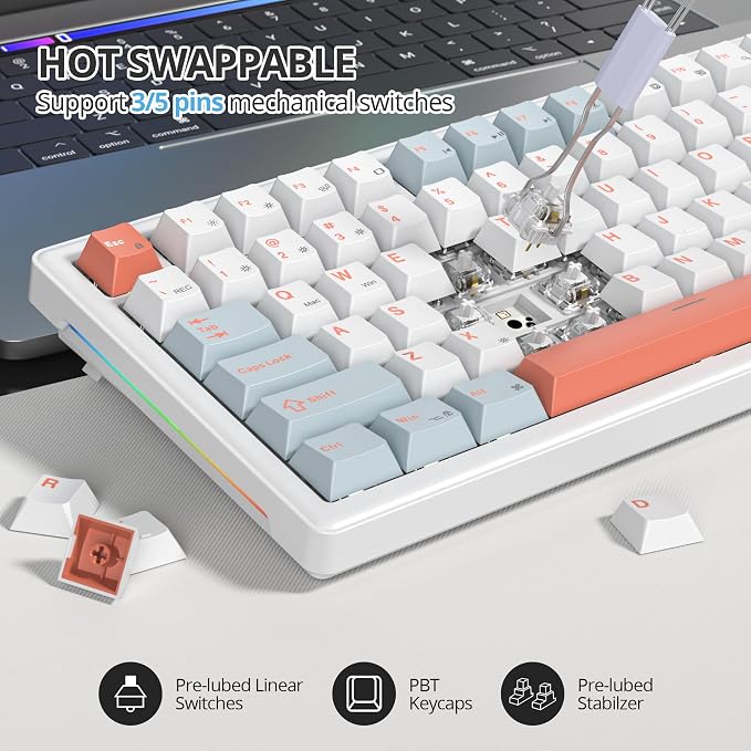 Salmon/White Switch