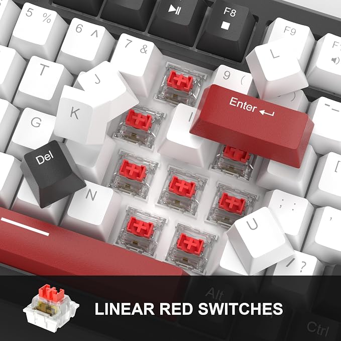 Black & White - Red Switch