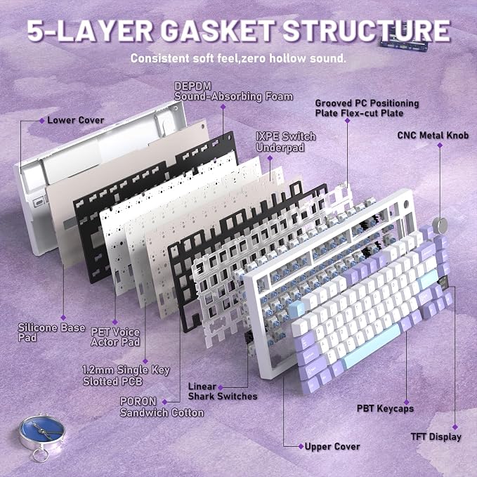 starwhite/shark switches