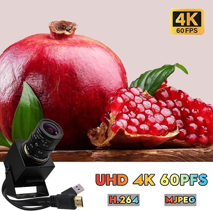 4K 60fps Camera with 2.8-12mm Lens