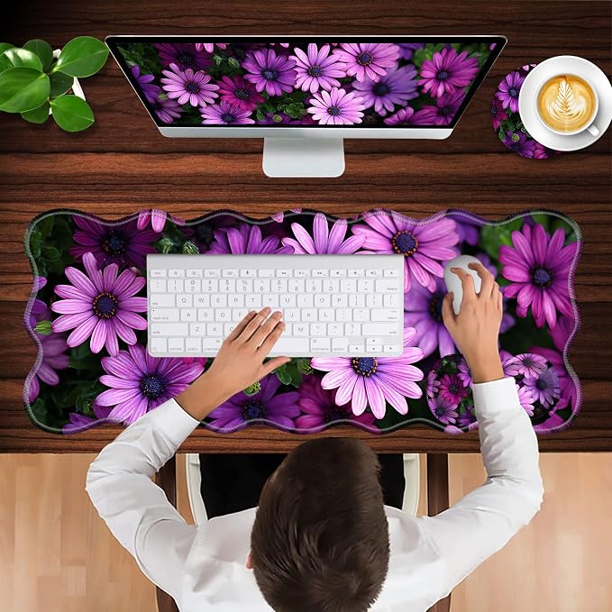 African Daisy