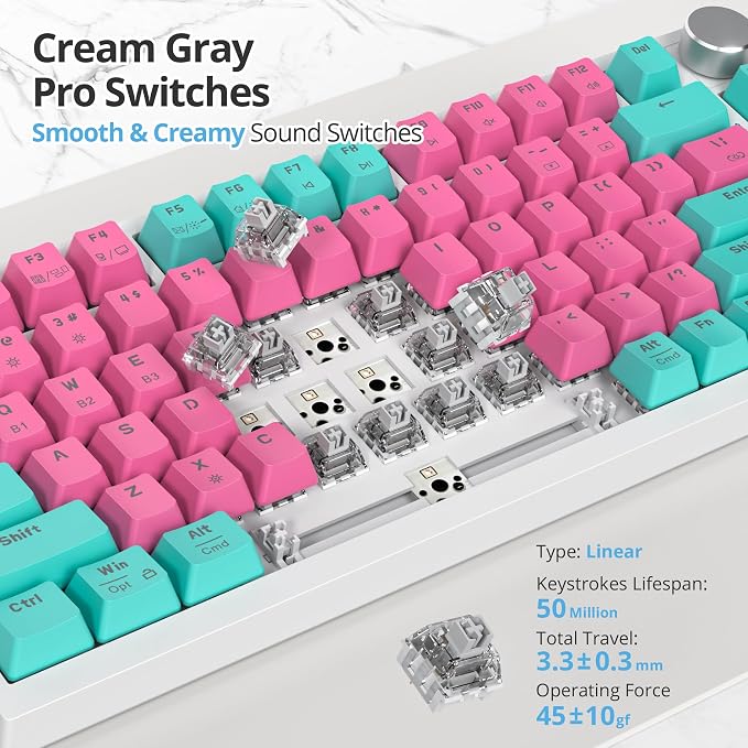 Miami/GrayCreamSwitch