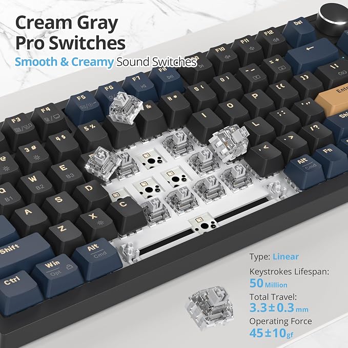 BlueSamurai-B/GrayCreamSwitch