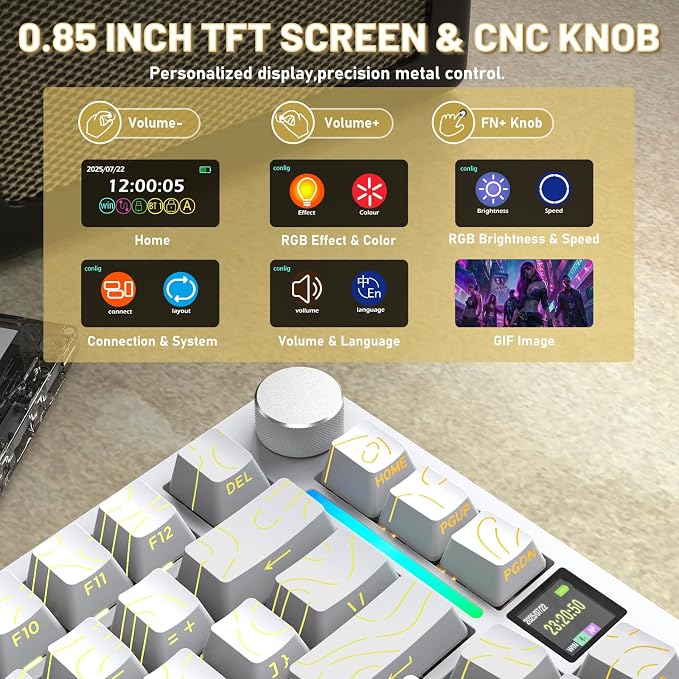 white contour/shark switches