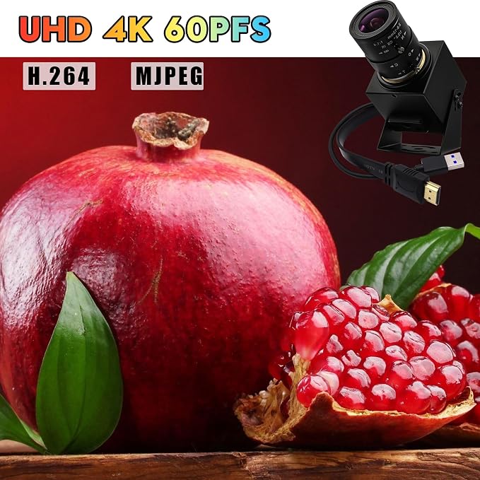 Camera with 2.8-12mm Lens