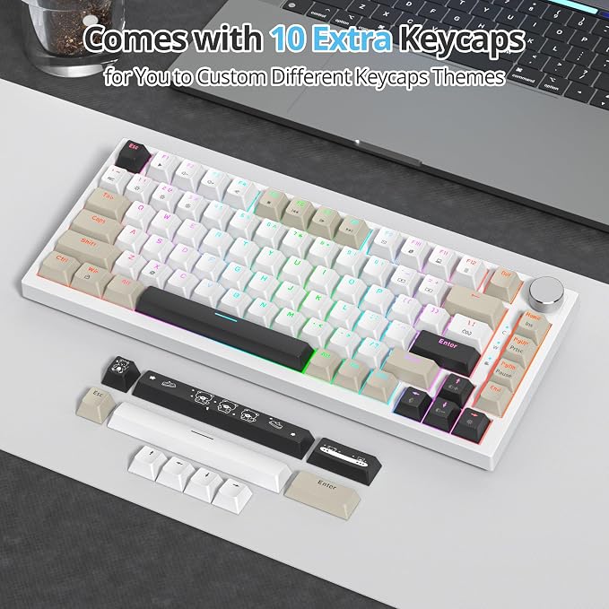 Gray Black White /Red Switch