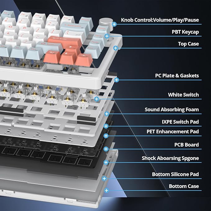 82 Light Blue/White Switch