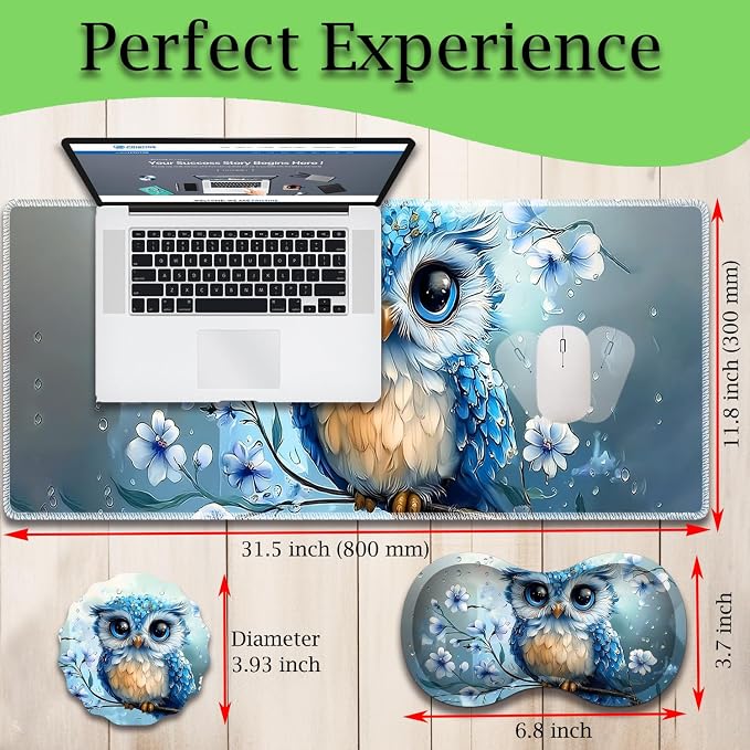 Rainy Owl