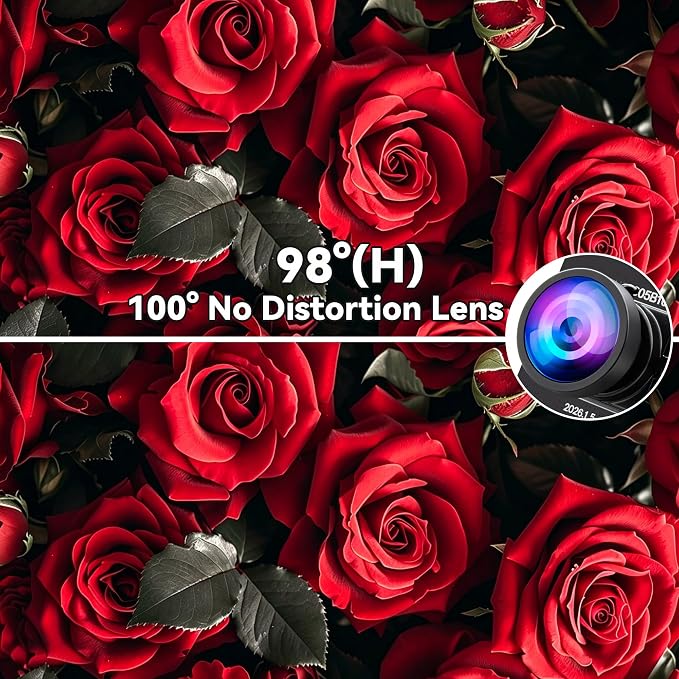100° no distortion lens