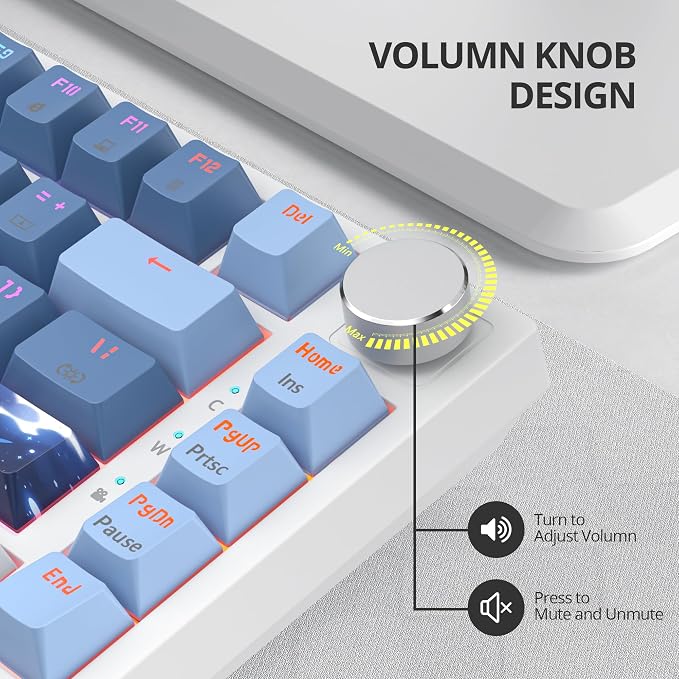 Fog Blue /Red Switch