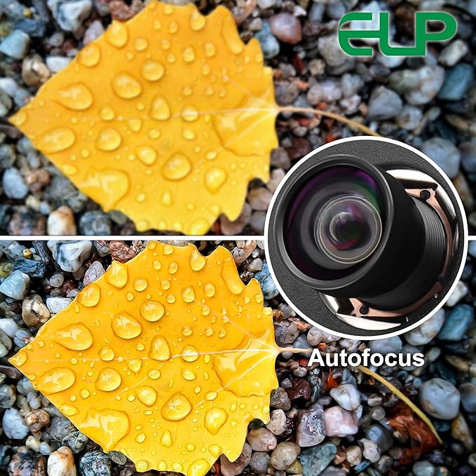 100degree No Distortion Lens