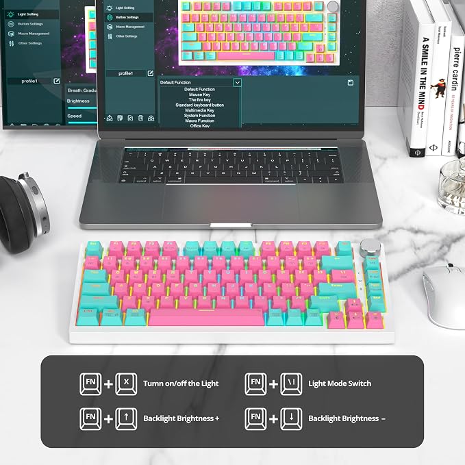 Miami/GrayCreamSwitch