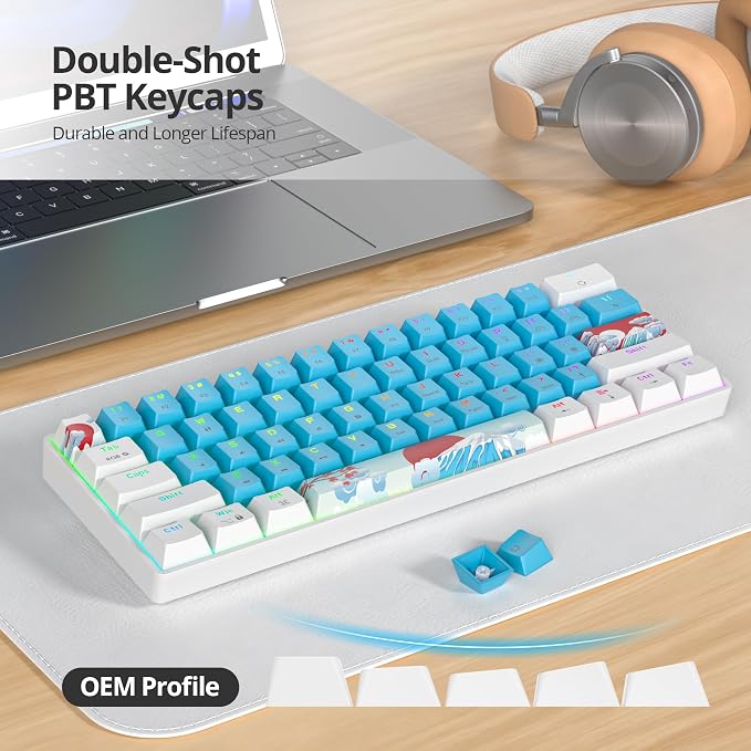61 Blue/Red Switch