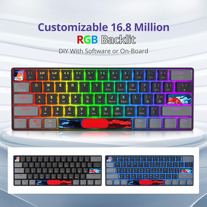61 Dark/Blue Switch