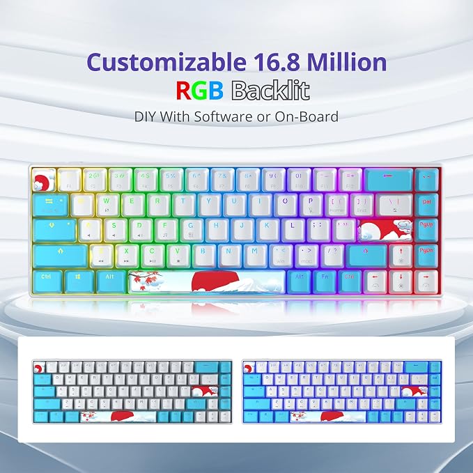 Blue/ 68 Red Switch
