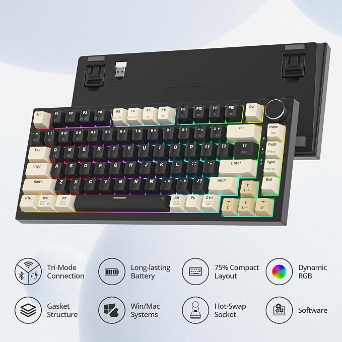Black/GrayCreamSwitch